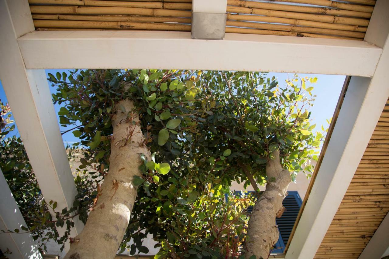 Le Suites Del Carrubo Favignana Exterior photo